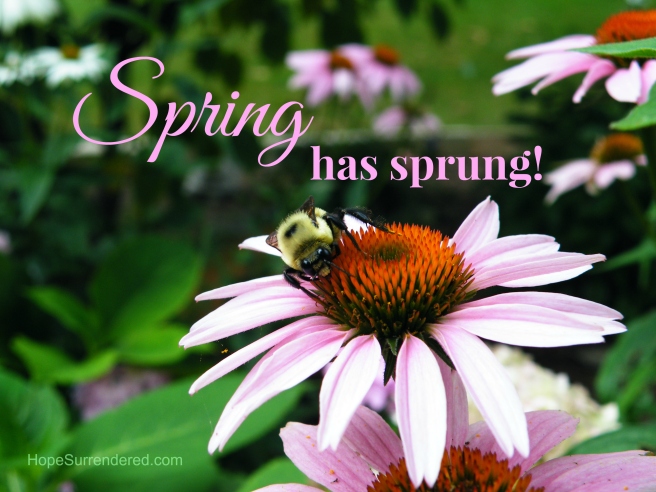 Spring has sprung.2.3 - Copy